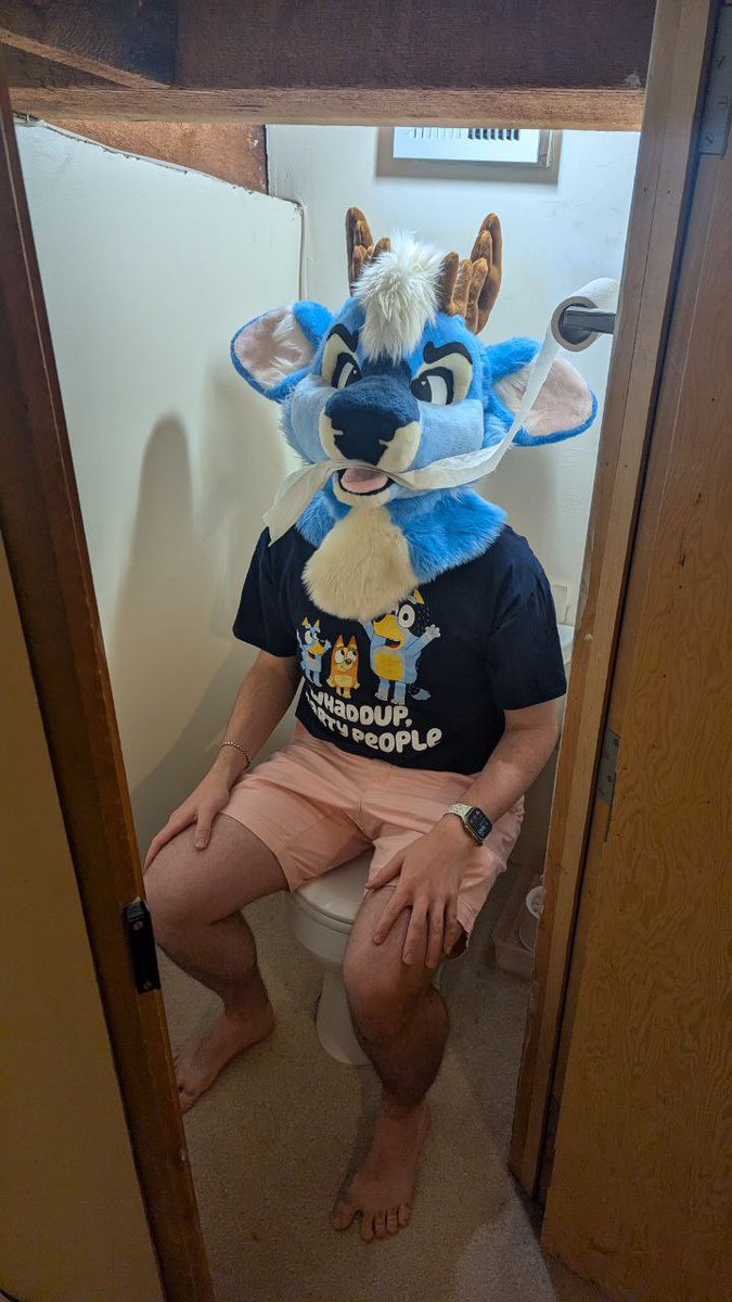 BLUEBERRY 🔜 MEGAPLEX tweet media