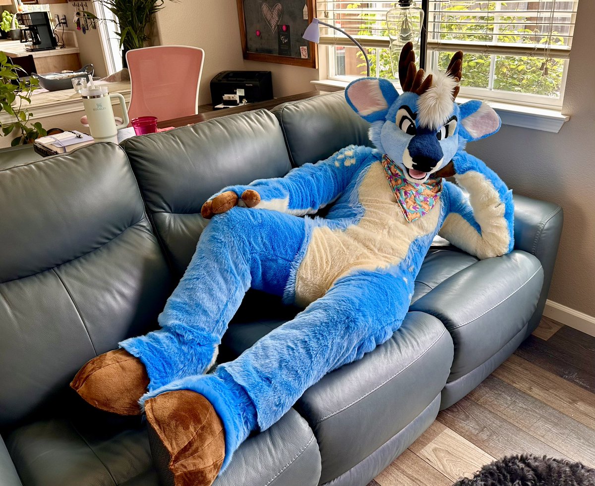 BLUEBERRY 🔜 MEGAPLEX tweet media