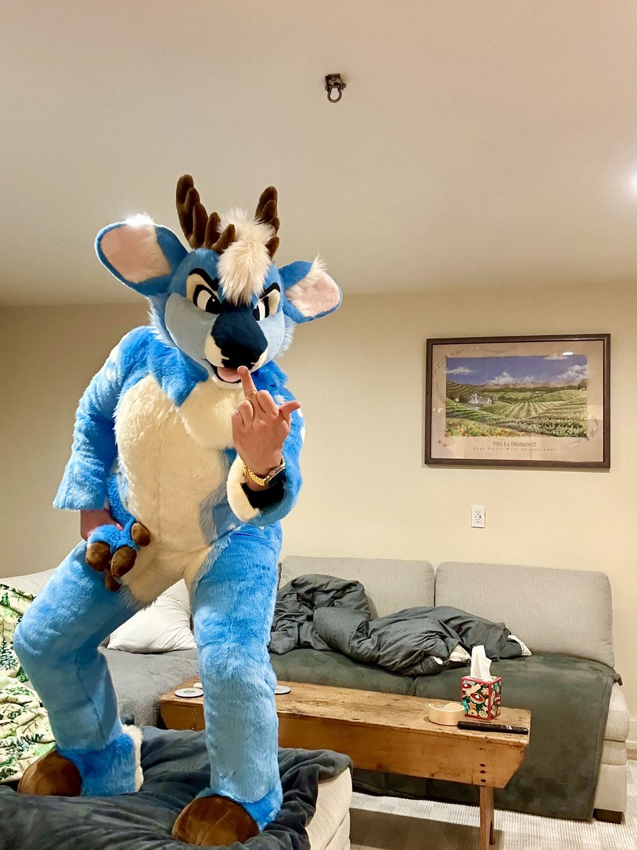 BLUEBERRY 🔜 MEGAPLEX tweet media