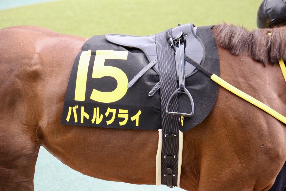 ウメ子♀ tweet media