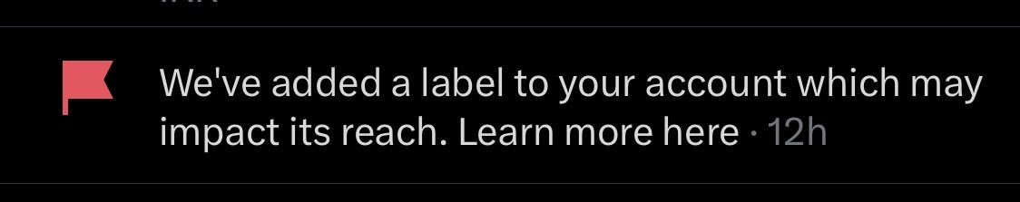 seth ˚₊‧⁺⋆♱ • is writing exams tweet media