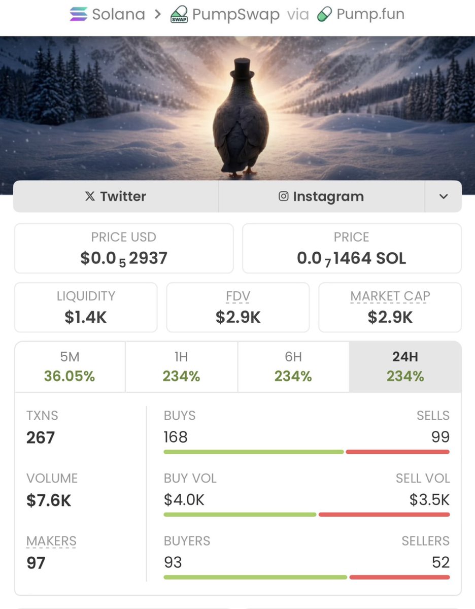 SOL TRADER tweet media