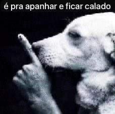 pedro paulo tweet media