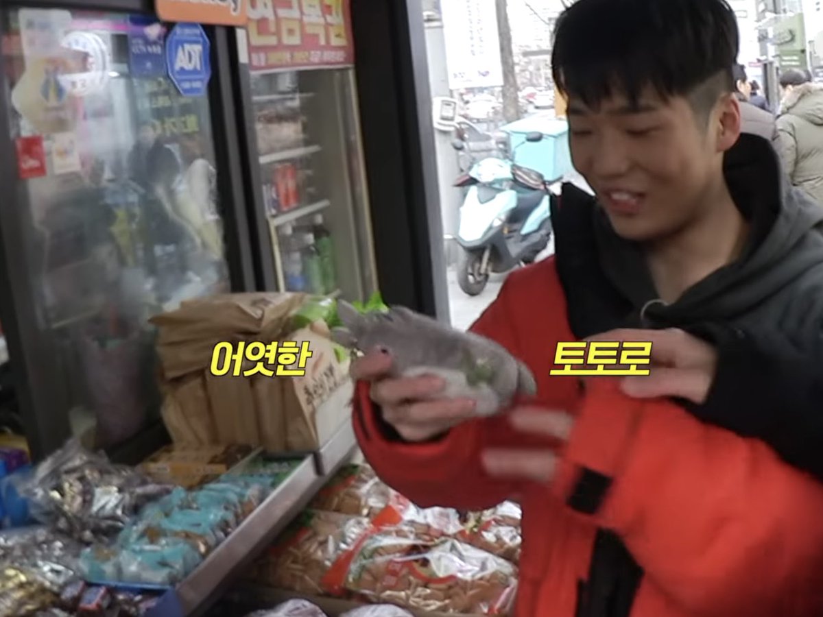 이소금 tweet media