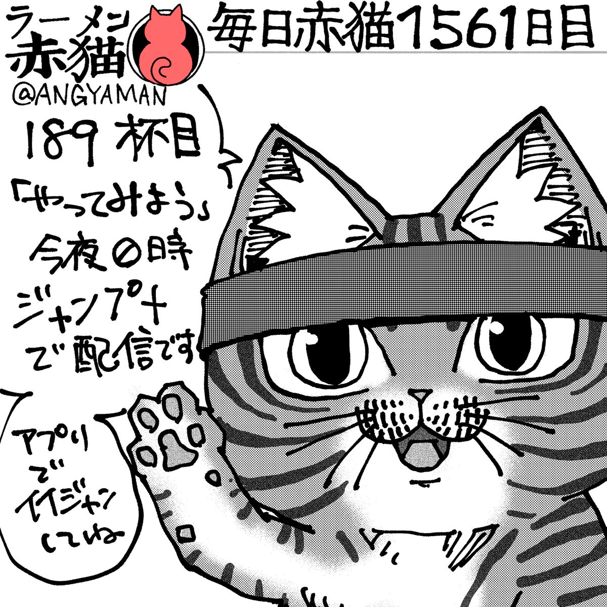 アンギャマン tweet media