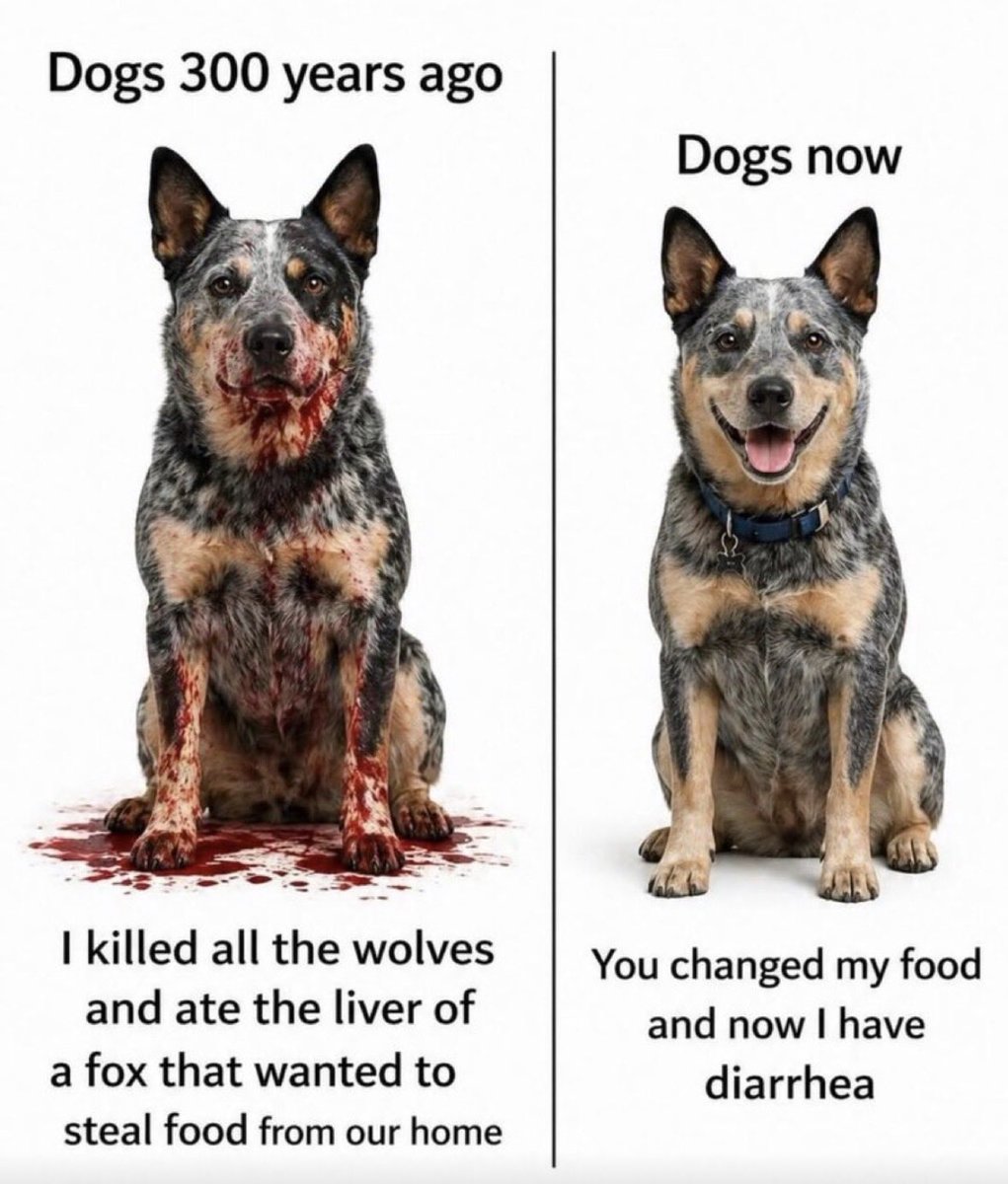 Men's Humor tweet media
