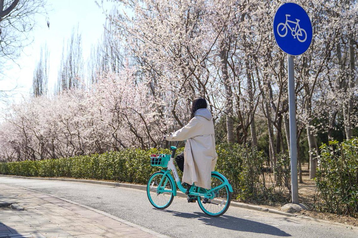btc_jlo's tweet photo. Tried the new city bike-sharing trial—zips through downtown, no traffic jams! Grab your first 30 mins free with code RIDE123 https://t.co/3VE3gb9M8T