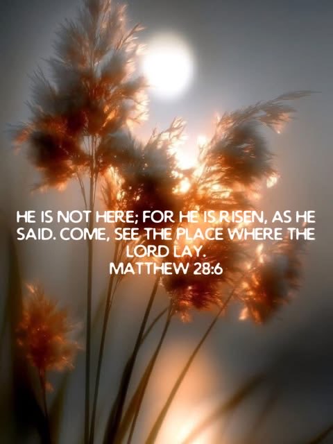 Jesus Christ Is God tweet media