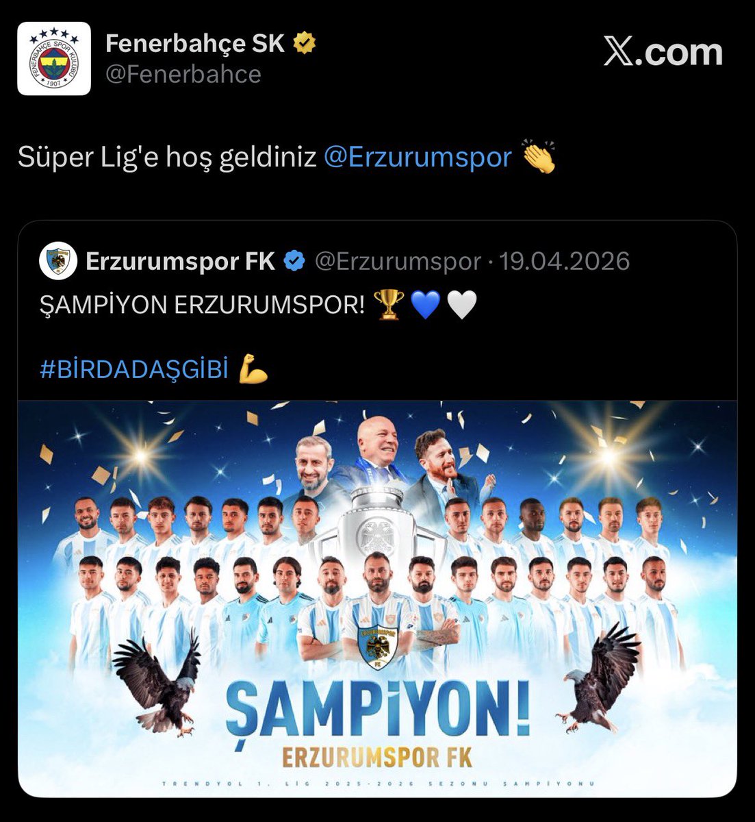 🦈 tweet media