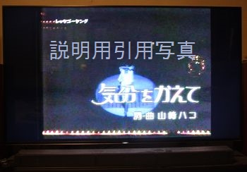 sjghd(angel) tweet media