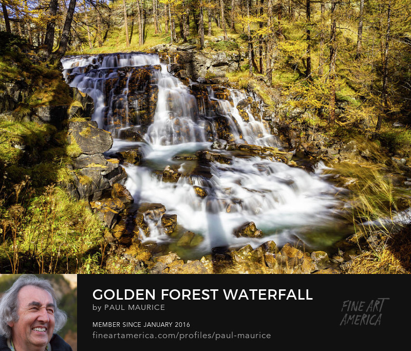 apollo0300's tweet image. Golden Forest Waterfall

fineartamerica.com/featured/golde…

#alpesdusud #alps #autumn #waterfall #colorsoffall #frenchalps #HautesAlpes #hautesalpestourisme #Lovepaca #travelphotography  #paulcmaurice #artforsale #buyintoart #fineart #giftidea #giftideas #homedecor #wallart #FindYourThing