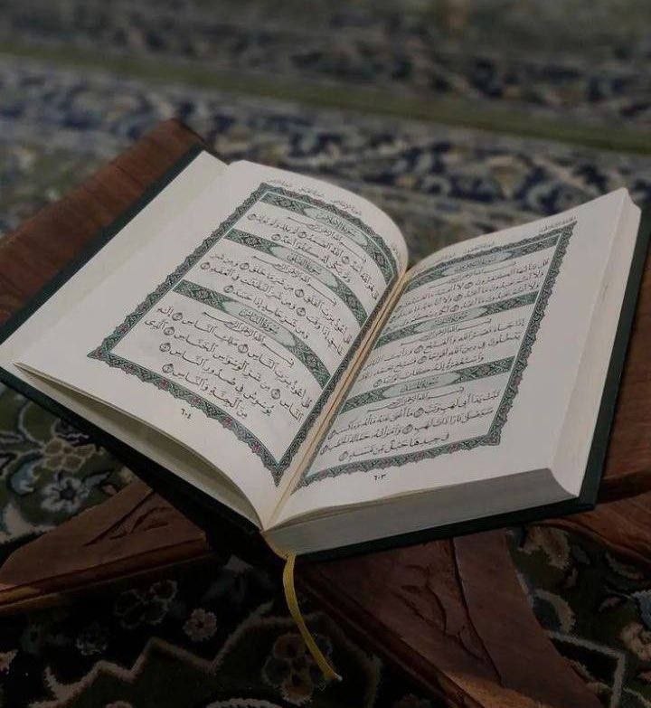 ✨أبو عبد الله🕊 طيب اثرك 💐 tweet media