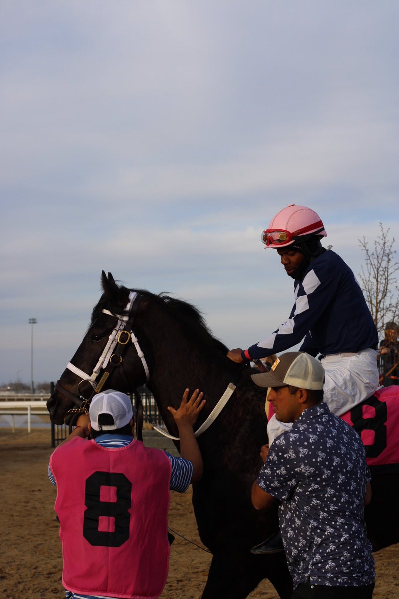 EquiSportsThrpy's tweet image. Scene from @cntymile Jockey Dane Nelson aboard Little Did We Know for trainer Gonzalo Anderson and owner Curtis Landry 

#horseracing #yeg