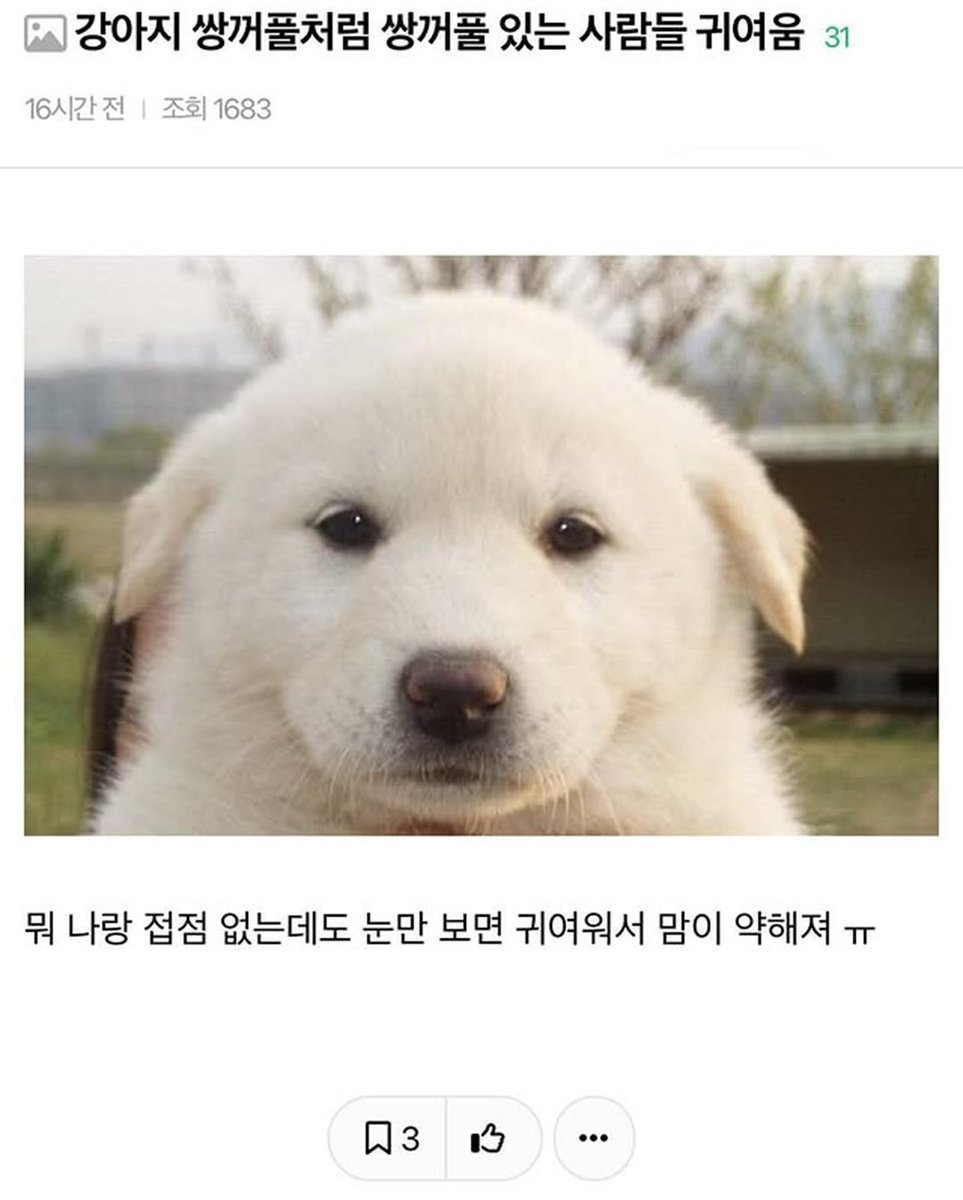 아기곰구마 tweet media