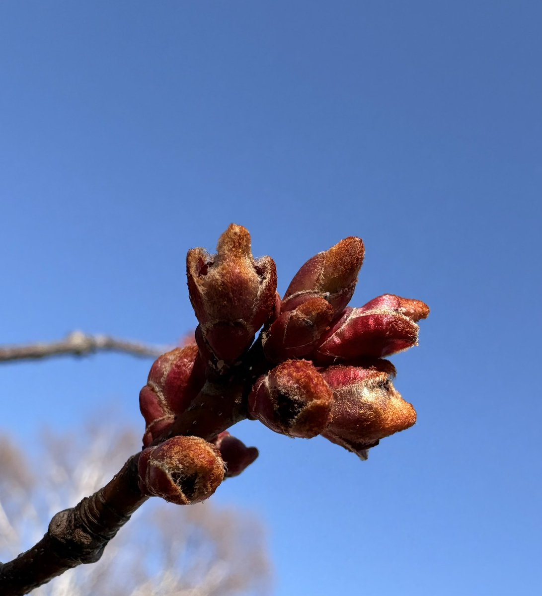 mindfulsuper_'s tweet image. When one places their intention on living mindfully, each moment becomes one of possibility. Each breath offers a chance to start over. And that’s a very comforting thing. #mindfulsuper #mindfulness