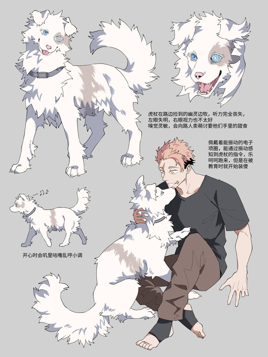 TH_claw's tweet photo. *脹虎 五悠 七虎
83虎 毛毛们的生活 https://t.co/6AV4WOmI7D