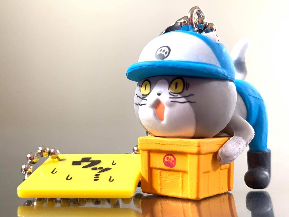 しぐなす tweet media