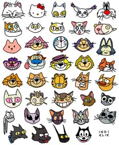 Tio Felino (Leo) tweet media