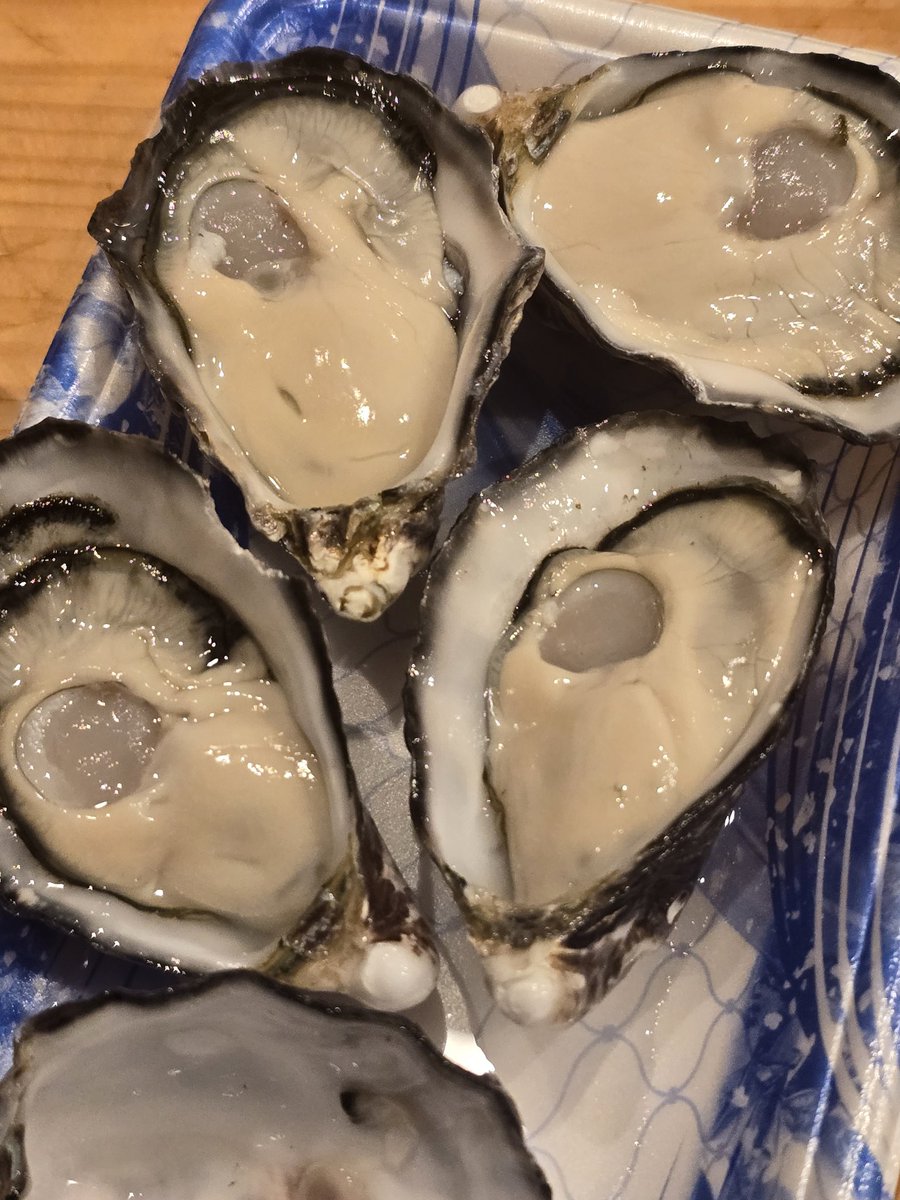 けんぼー(偏り) tweet media