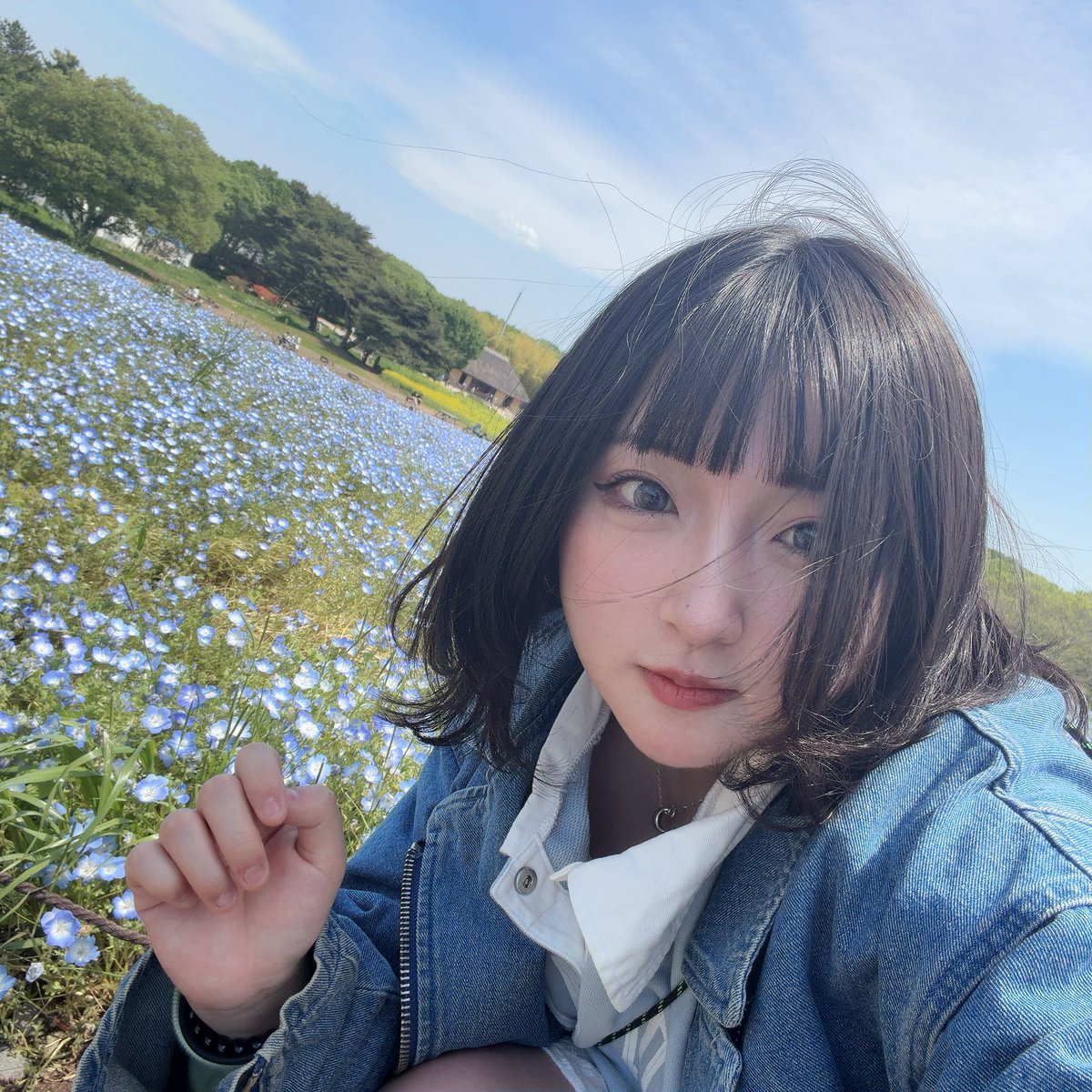 yuchan_daa's tweet photo. 念願のねもふぃら😻🩵 https://t.co/Y4hPgOjRKQ