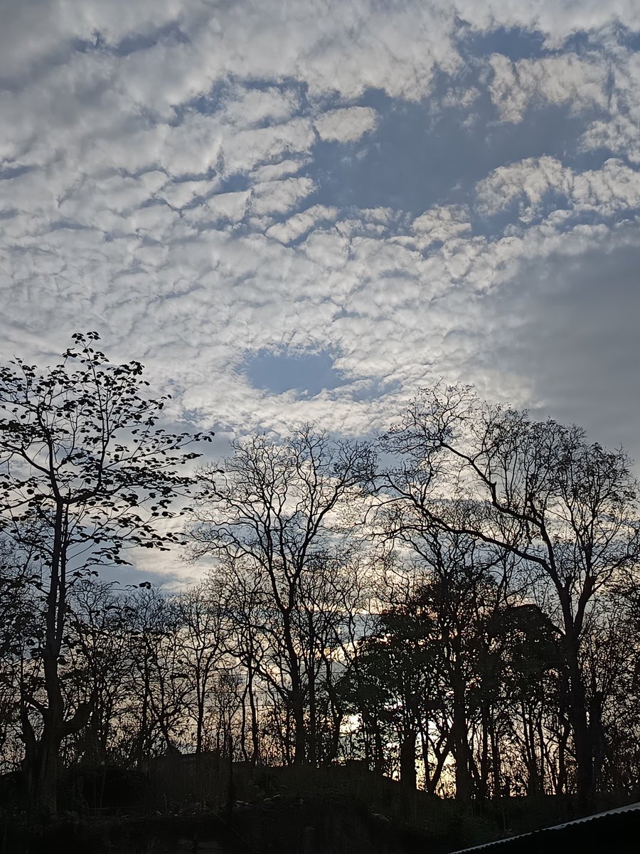 Nilesh Raichura 🦋 tweet media