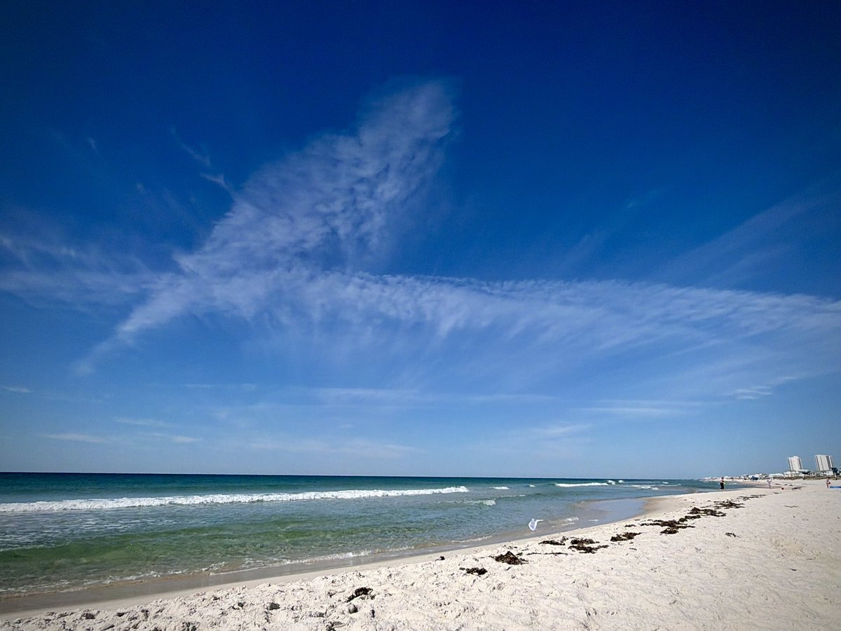 Shutterbug267 tweet media