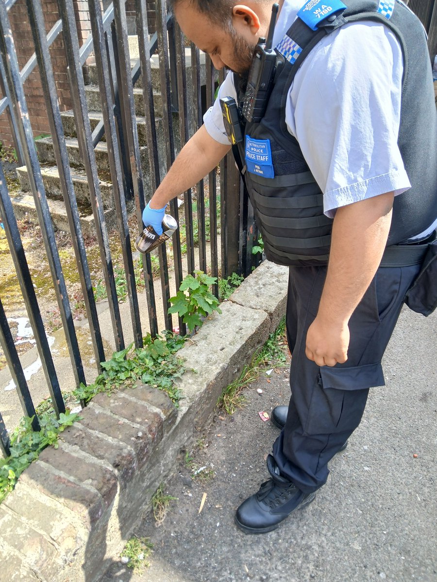Hayes Town SNT tweet media