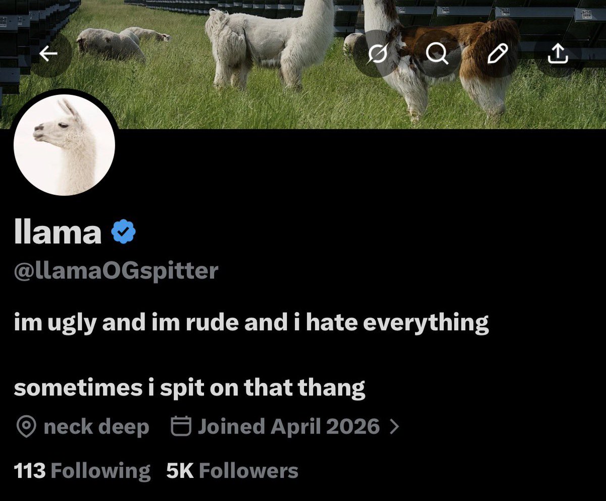 llama tweet media