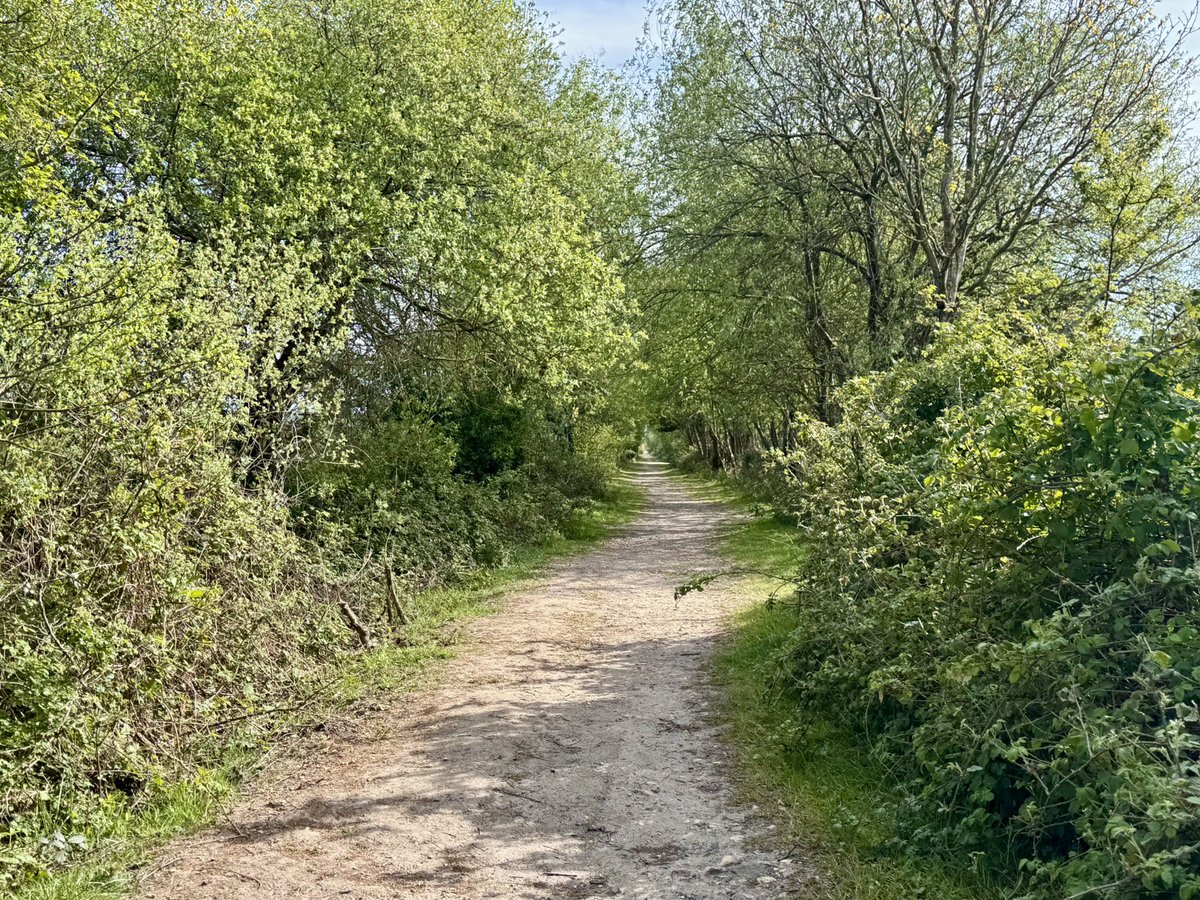 PipTheDog5's tweet photo. Just a few miles from Fort Henry, this is the trackbed of a narrow gauge railway called Pike’s Tramway across Stoborough Heath.
It once carried clay to a quay on the River Frome for shipment via Poole Harbour for use in products including Wedgwood tableware.
#PipsTrips https://t.co/akgXMPEmEI