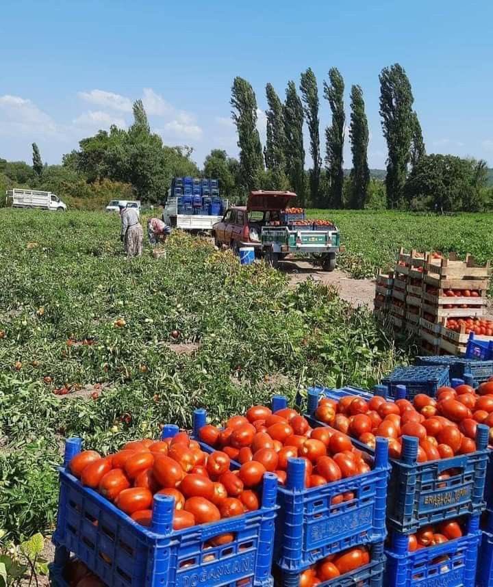 AGRONOMME 🇷🇼 tweet media