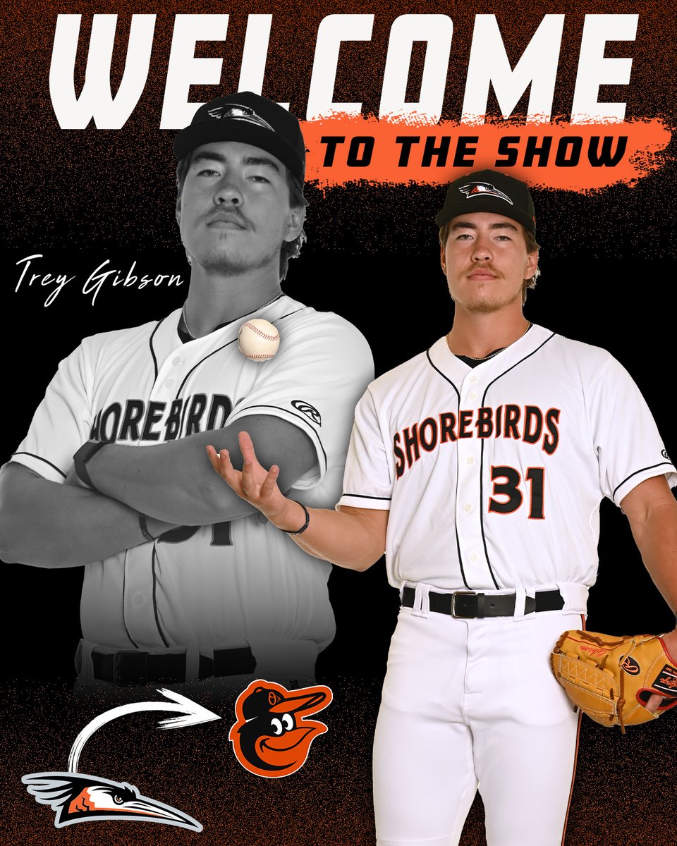 Delmarva Shorebirds tweet media