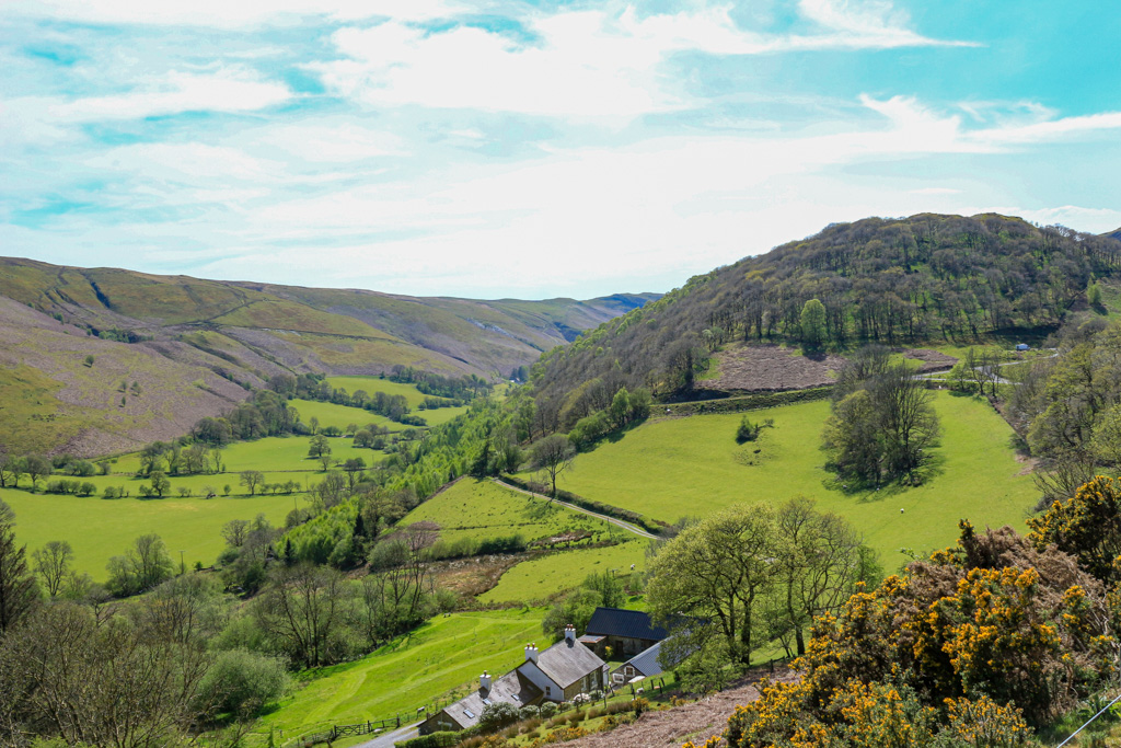 ItsYourWales's tweet image. The breathtaking beauty of the Upper Tywi valley Carmarthenshire.  Stunning Wales. Photo courtesy 
@Jones8Pamela #Wales #WelshPassion