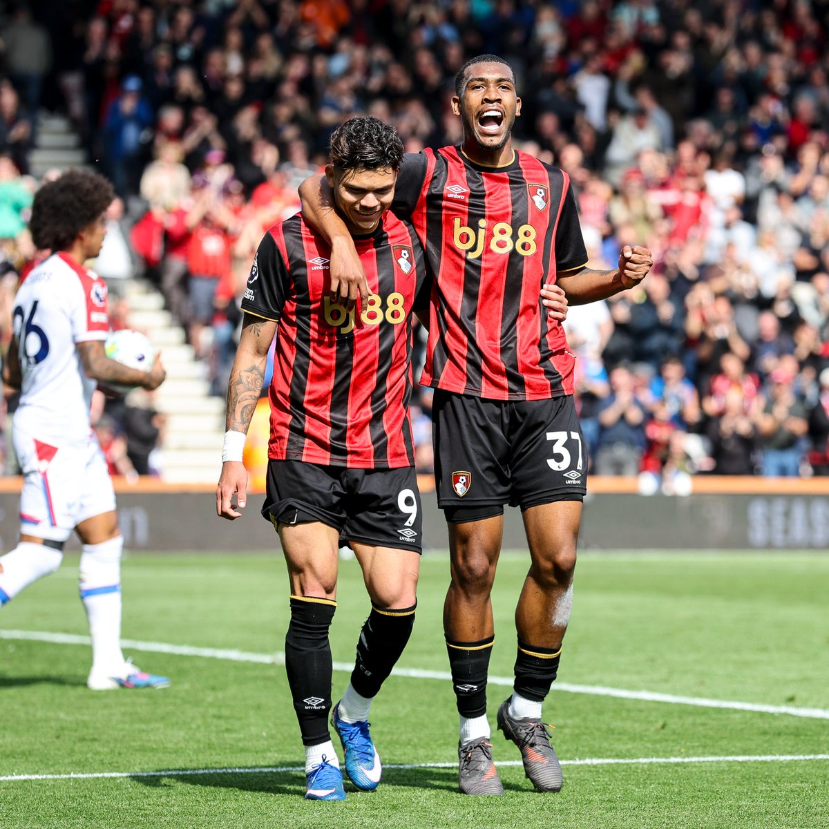 AFC Bournemouth 🍒 tweet media