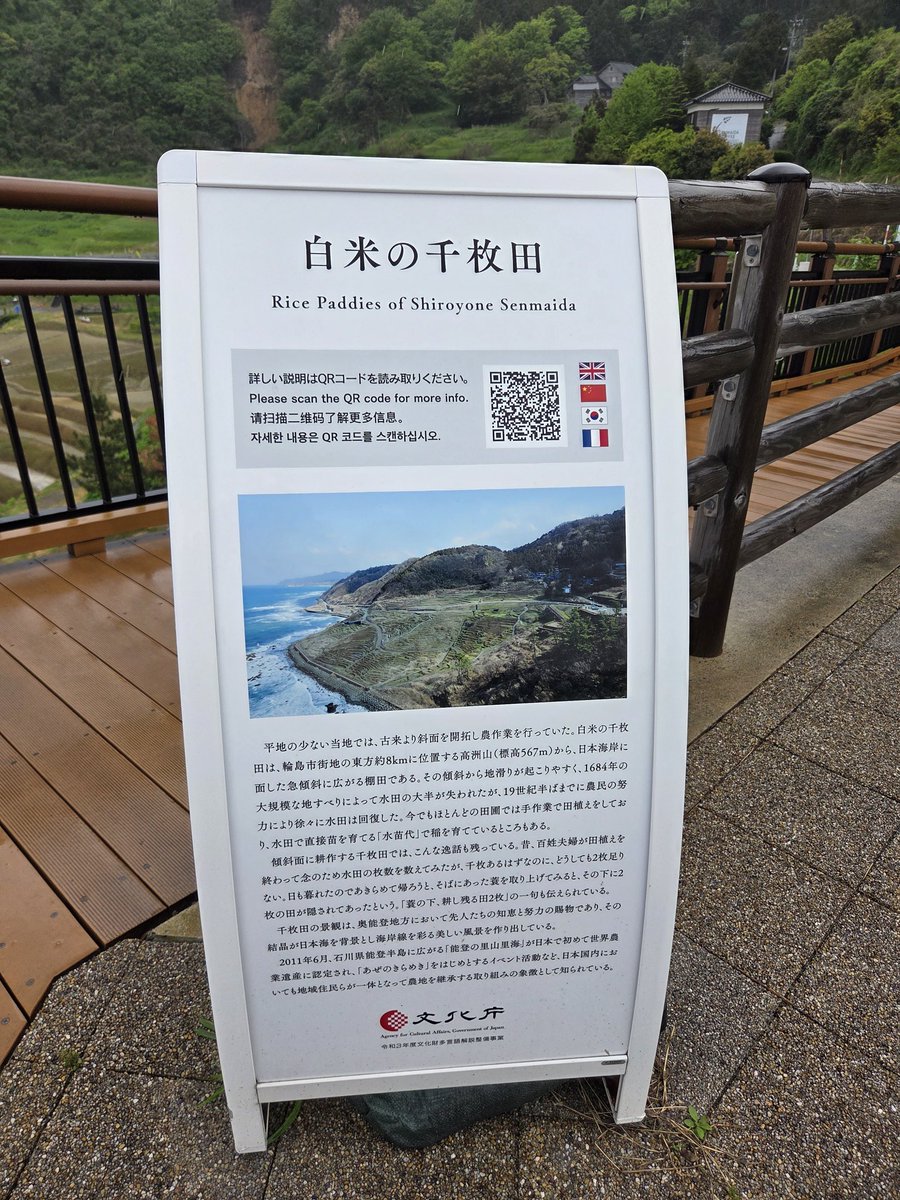 ひでとら tweet media