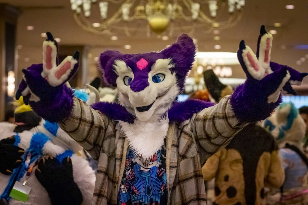 Phoenix The Sergal tweet media