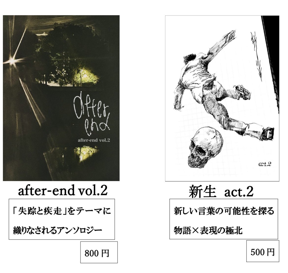 after-end 文フリ東京42 せ-7・8 tweet media
