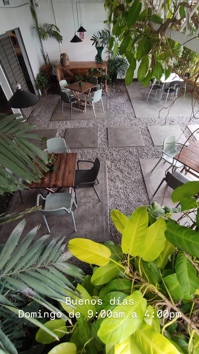 Savignanocafe tweet media