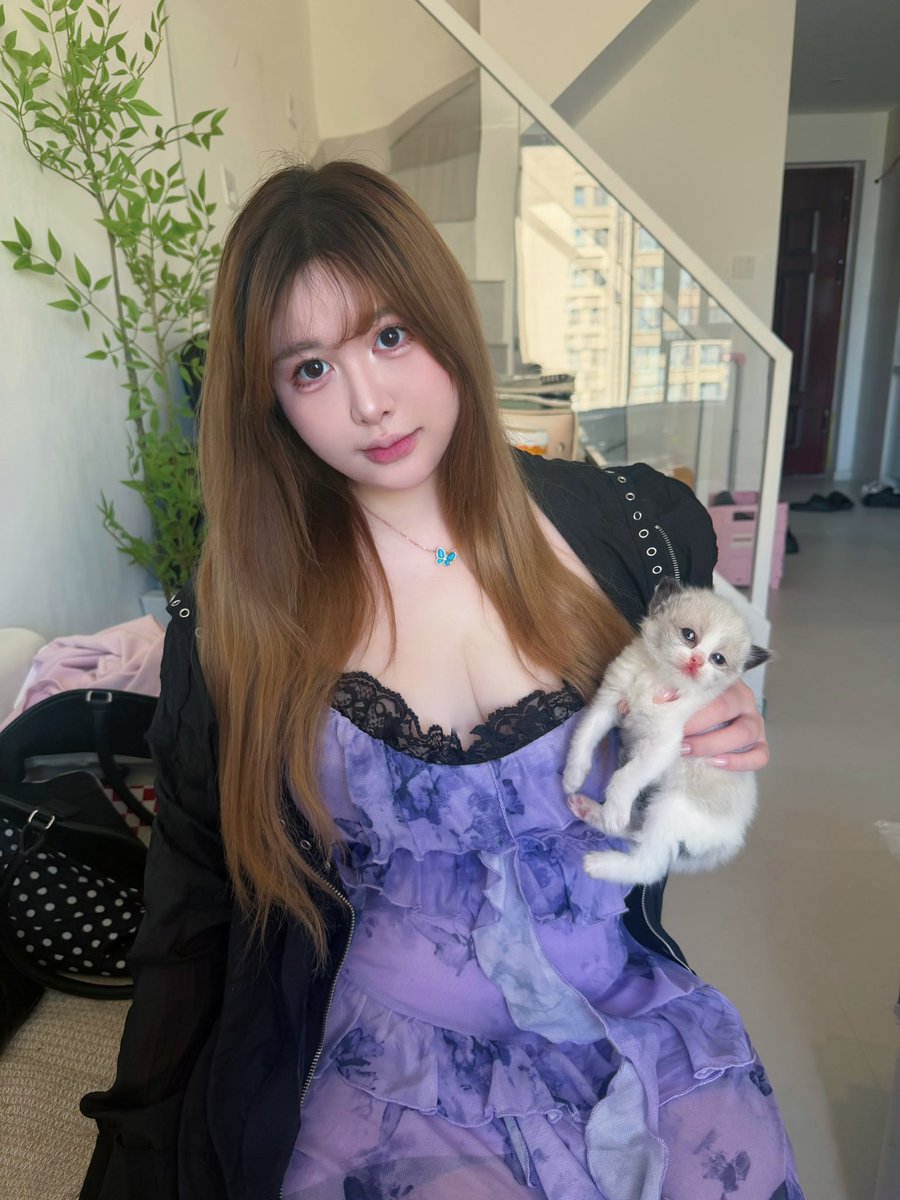 aika（波比老师） tweet media