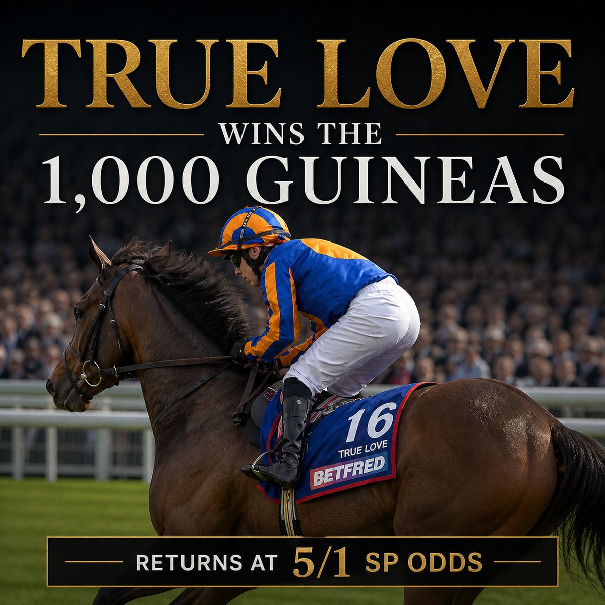 racingdaily_com's tweet image. TRUE LOVE WINS THE 1,000 GUINEAS!!!

#1000Guineas #Newmarket #RacingDaily