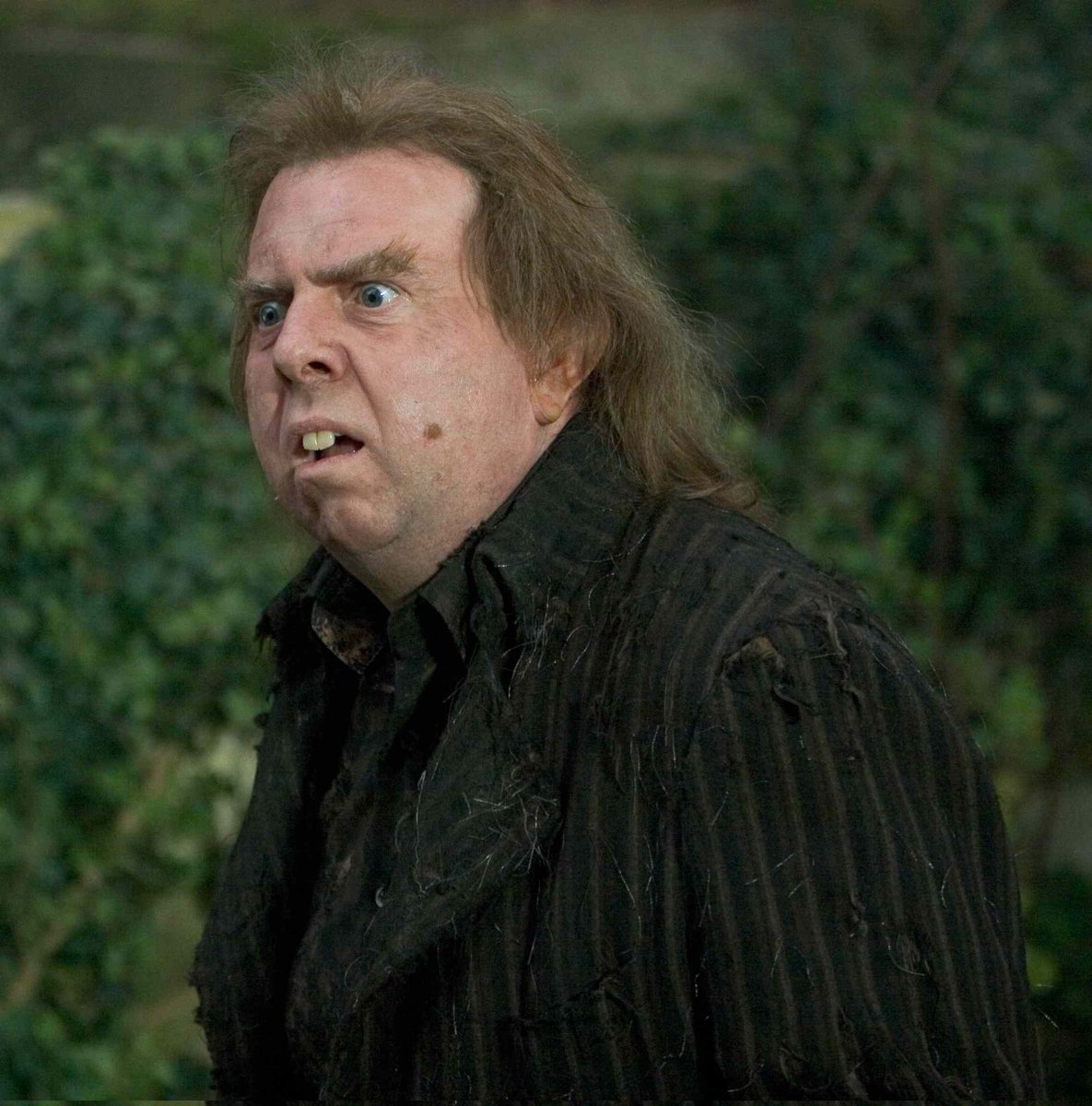 spurling_terry's tweet image. #ZackPolanski will be cast as Peter Pettigrew in the new #HarryPotter  TV series.