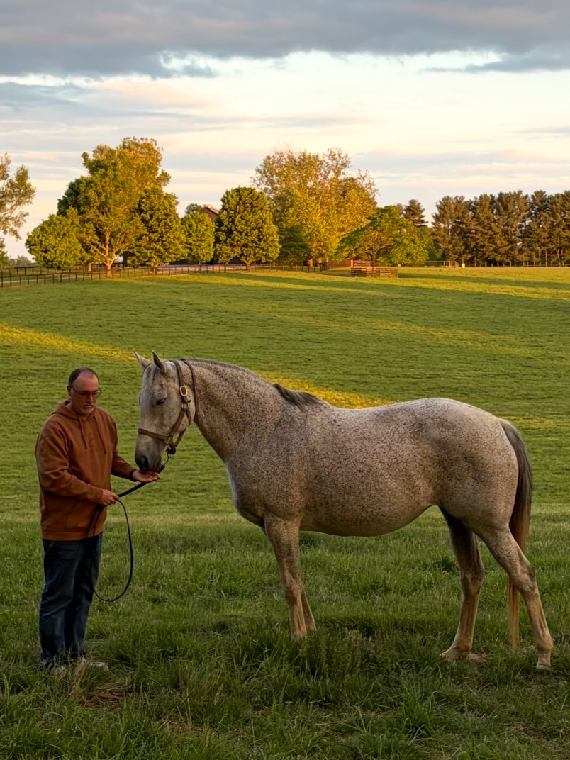 Phipps Stable Fan tweet media