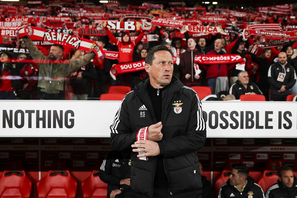 Profeta do Benfica tweet media