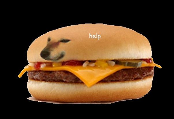 DGENZ 🍔👑 tweet media