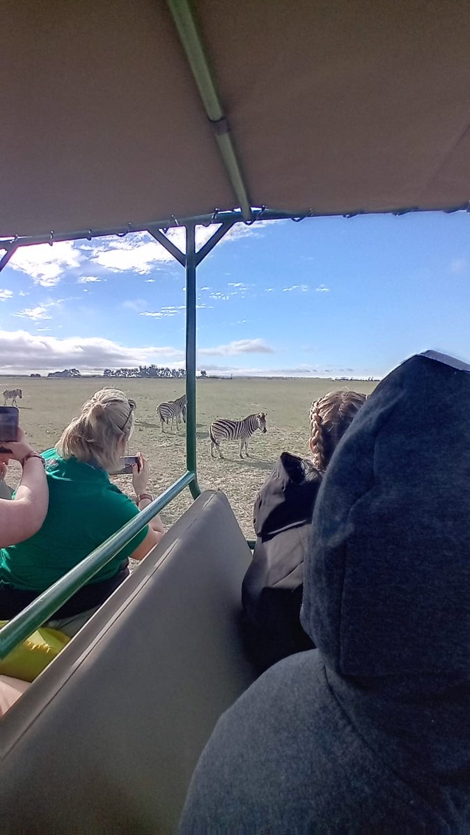 BelmayneEtss's tweet image. Our students were treated to a #Safari before their work in @melloneducate schools begin tomorrow. Incredible experience for them all