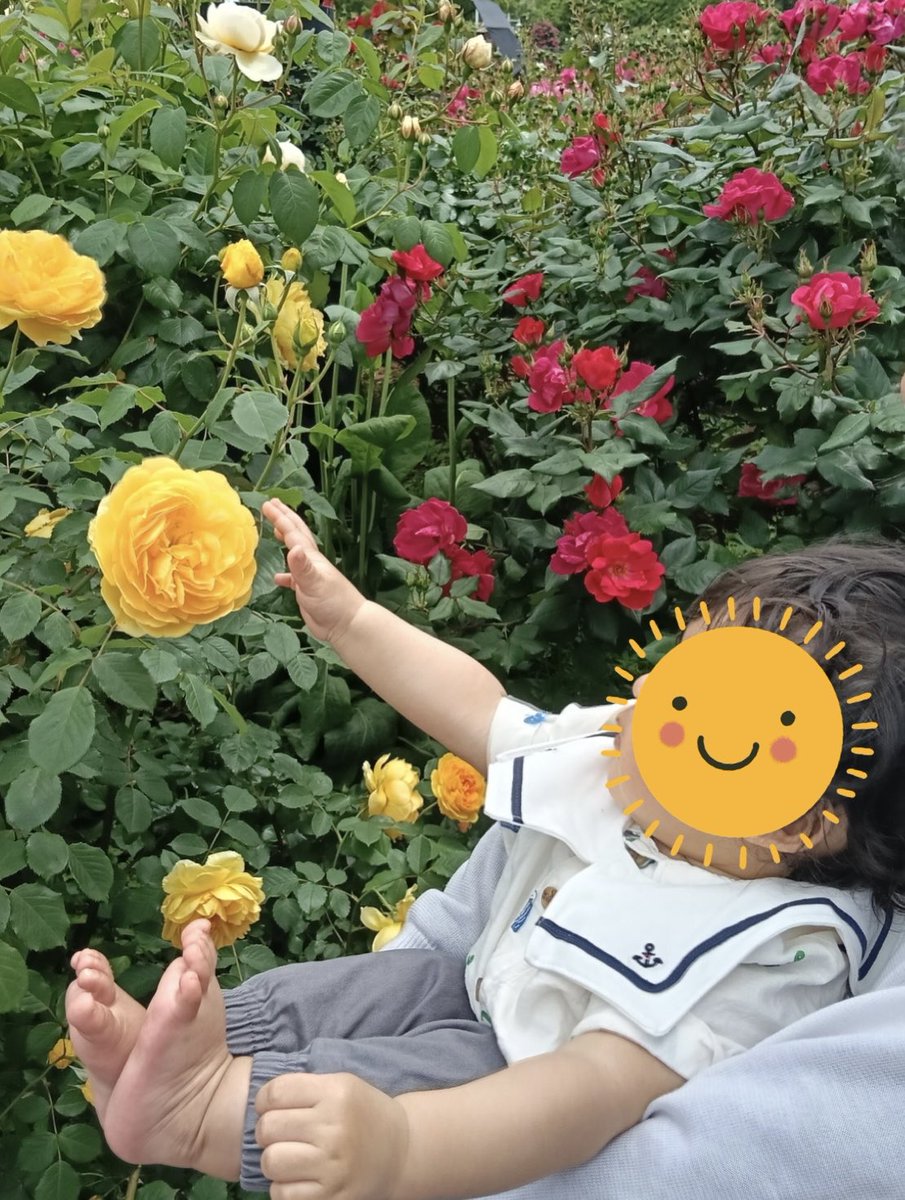 Yu97784390's tweet photo. 横浜に行くからと思って義母から貰ったボート柄シャツにマリンスタイを合わせてみた🛳️🌊
保育園のお散歩でも花が大好きらしいベビは今日も花に興味津々だった🌼🌹 https://t.co/FFVXZ5uJpq