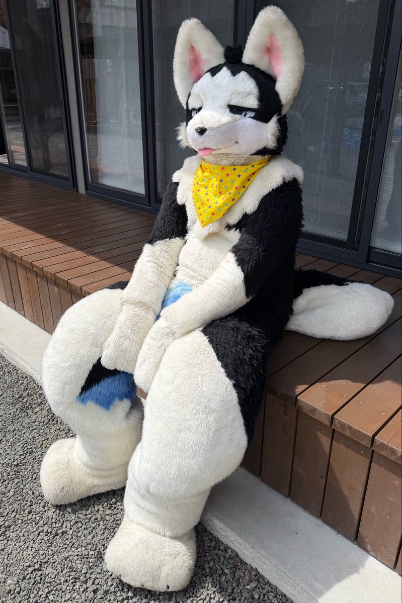 タツ狼 tweet media