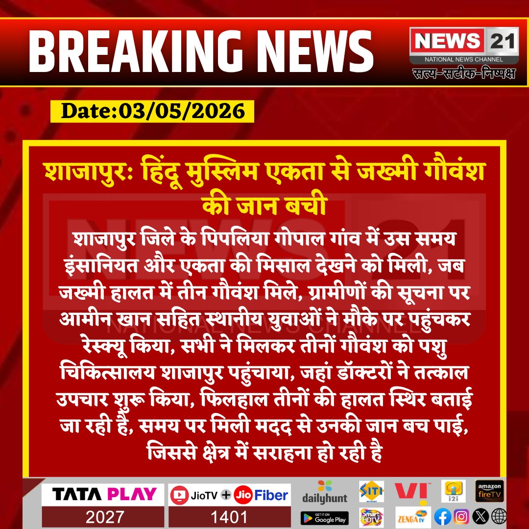 news21national's tweet image. #Shajapur:  हिंदू मुस्लिम एकता से जख्मी गौवंश की जान बची
#News21National
 #MadhyaPradesh #MPNews #ShajapurNews #HinduMuslimUnity #AnimalRescue #CowProtection #GoodNews #BreakingNews #PipliyaGopal
@MPPoliceOnline  @CMMadhyaPradesh  @collectorshajap