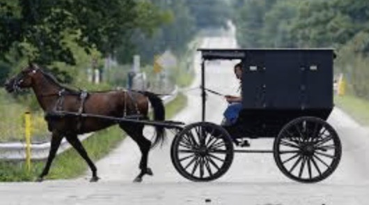 Andrew Branca Show tweet media