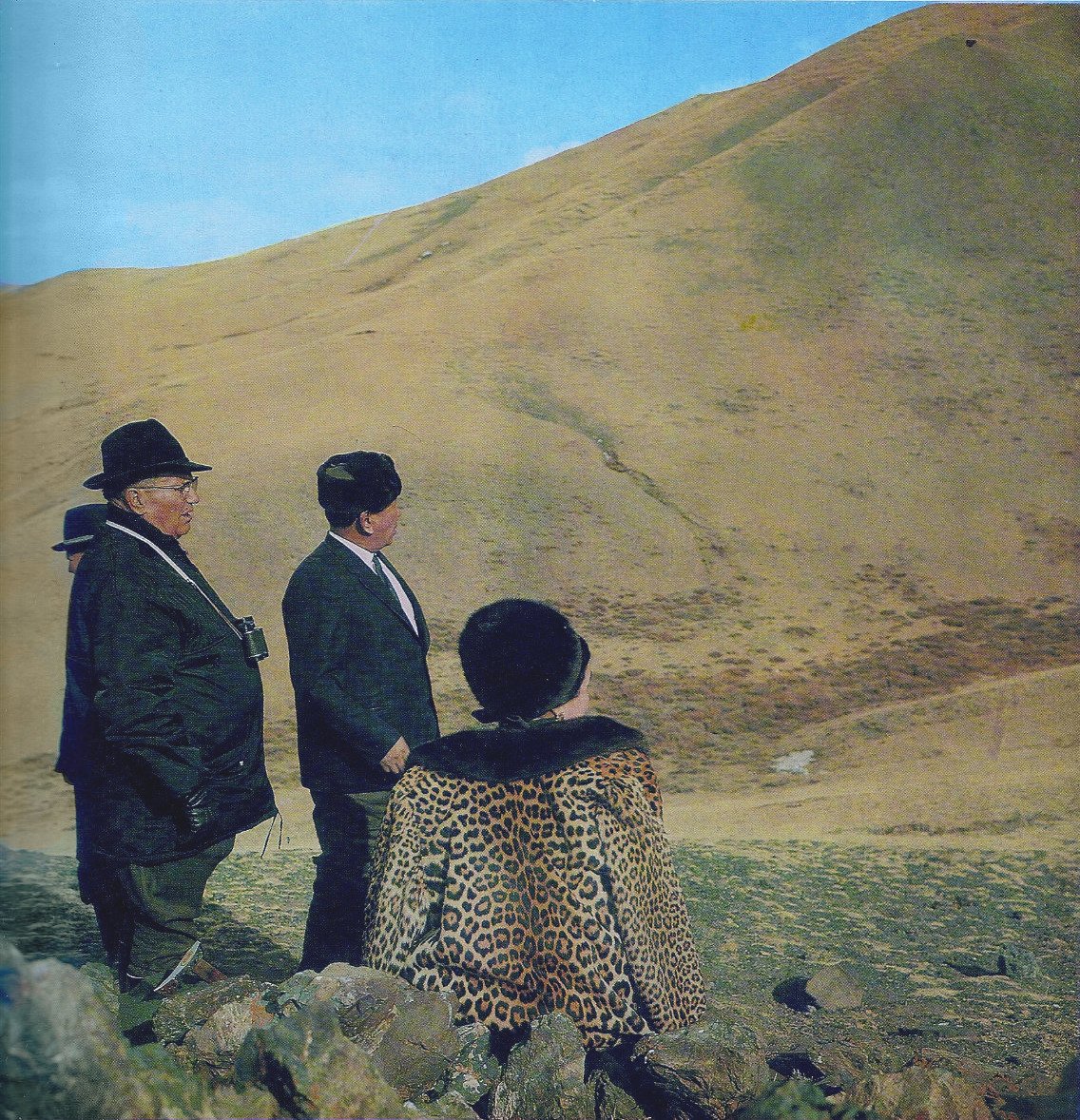 Yugoslavian Visuals tweet media