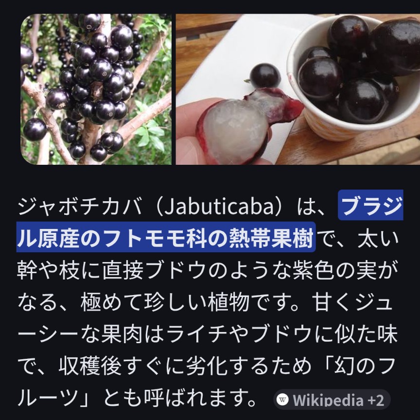 Me(み~) tweet media